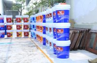 Sơn trong nhà loại nào rẻ nhất, mua ở đâu